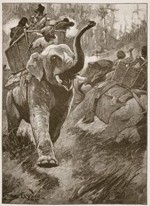 Los elefantes asustados se precipitaron de vuelta atravesando el bosque, ilustración de 